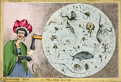 Microcosm dedicated to the London Water Companies: Monster soup commonly called Thames Water, being a correct representation of that precious stuff doled out to us!!! by William Heath